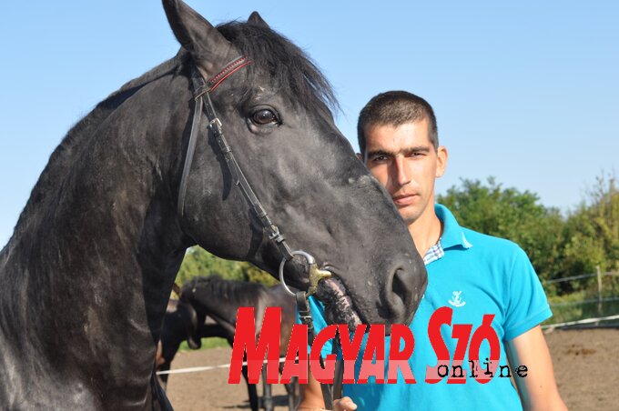 Sándor és Herceg, a lovasudvar büszkesége (Halász Gyula felvétele) Sándor és Herceg, a lovasudvar büszkesége (Halász Gyula felvétele)