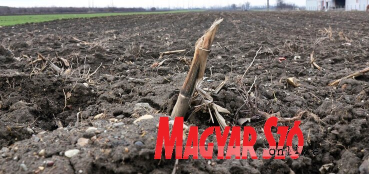 A törvényjavaslat lehetőséget ad arra is, hogy külföldiek mezőgazdasági területek tulajdonosává váljanak (Ótos András felvétele) A törvényjavaslat lehetőséget ad arra is, hogy külföldiek mezőgazdasági területek tulajdonosává váljanak (Ótos András felvétele)