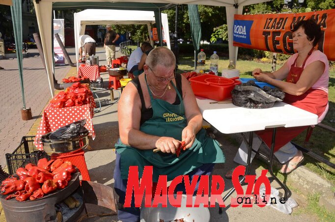 (Fotó: Molnár Edvárd) (Fotó: Molnár Edvárd)