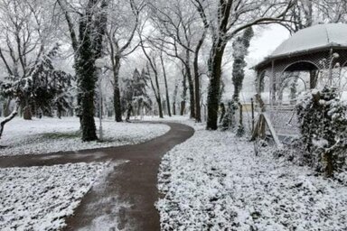 Illusztráció (Fotó: Varga Zoltán felvétele)