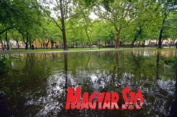 (Fotó: Molnár Edvárd) (Fotó: Molnár Edvárd)