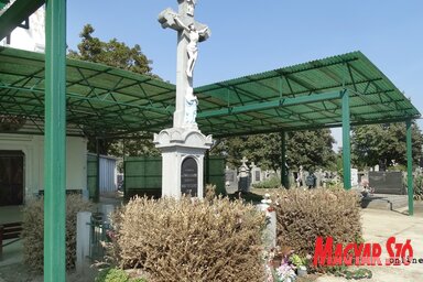 A megsemmisített buxusok a temető keresztjénél (Góbor Béla felvétele)