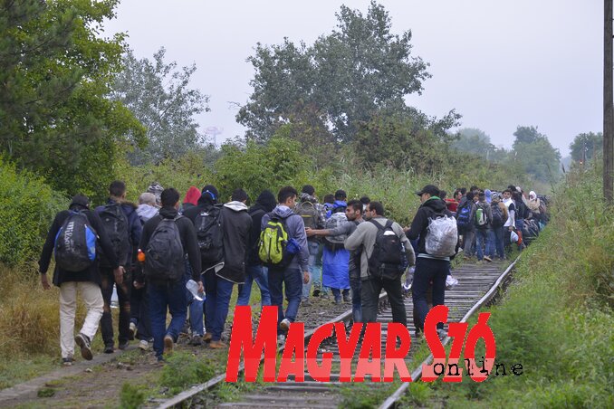 Naponta mintegy 1000 migráns tartózkodik Szabadkán (Fotó: Molnár Edvárd) Naponta mintegy 1000 migráns tartózkodik Szabadkán (Fotó: Molnár Edvárd)