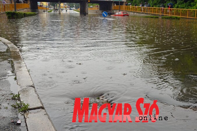 (Fotó: Molnár Edvárd) (Fotó: Molnár Edvárd)