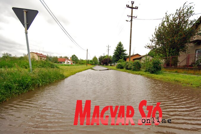 (Fotó: Molnár Edvárd) (Fotó: Molnár Edvárd)