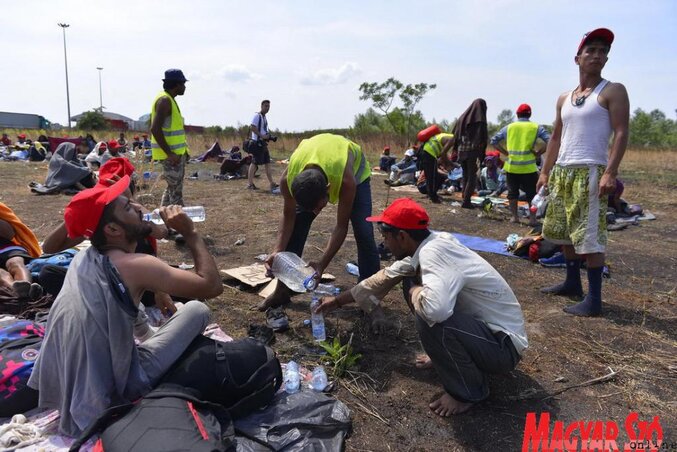 Molnár Edvárd felvétele