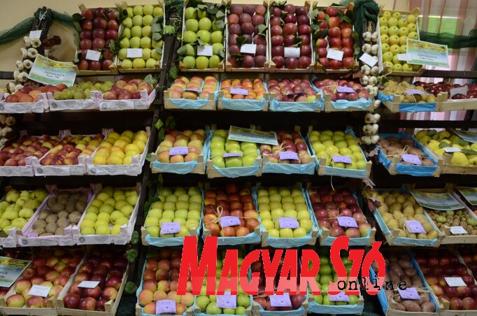 (Fotó: Molnár Edvárd) (Fotó: Molnár Edvárd)
