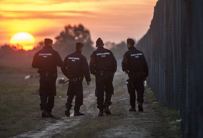 Rendőrök járőröznek a határon, Röszke közelében (Fotó: MTI)