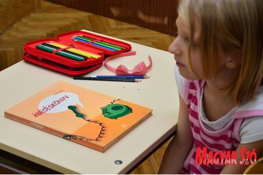 A duális képzés Újvidéken kiválóan működik, a minisztérium most országos szinten szeretné ezt megszervezni (Dávid Csilla felvétele)