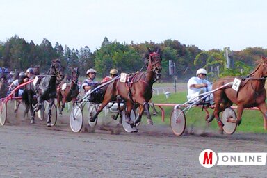 Nemzetközi ügetőverseny az adai lóversenypályán (Csincsik Zsolt felvétele)