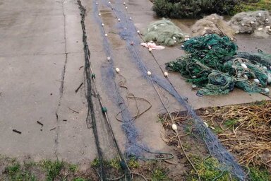 Vajdasági Horgász Szövetség