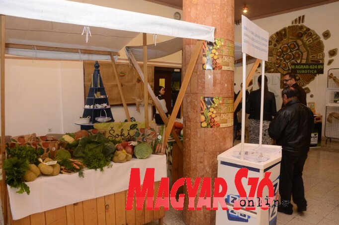 (Fotó: Molnár Edvárd) (Fotó: Molnár Edvárd)