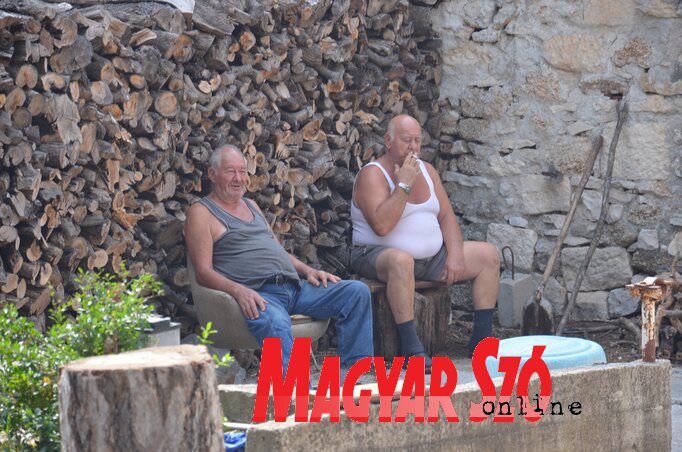 Kell ez a sok fa még Dalmáciában is (Dávid Csilla felvétele) Kell ez a sok fa még Dalmáciában is (Dávid Csilla felvétele)