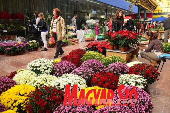 Fotó: Dávid Csilla