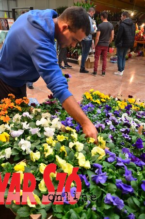 Fotó: Dávid Csilla