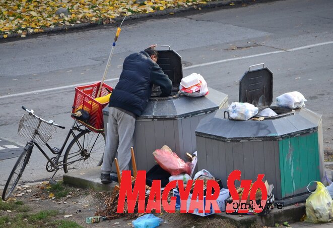 Dávid Csilla illusztrációja