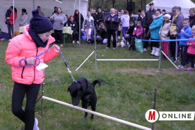 Fotó: Horváth Zsolt