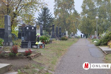 A kishegyesi és a bácsfeketehegyi temetők tisztán és rendezetten várják a halottak napját (Lakatos János felvétele)