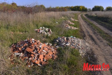 Harmincnégy illegális szemétlerakó van a város területén (Fotó: Molnár Edvárd)