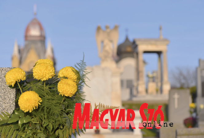 Fotó: Molnár Edvárd