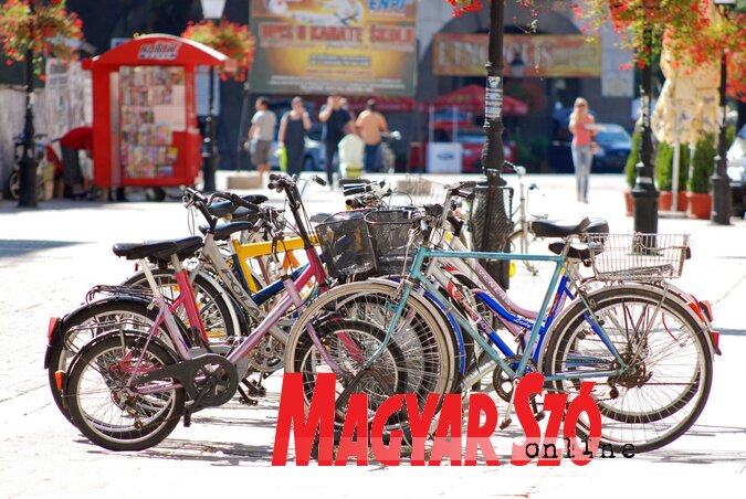 (Molnár Edvárd illusztrációja)