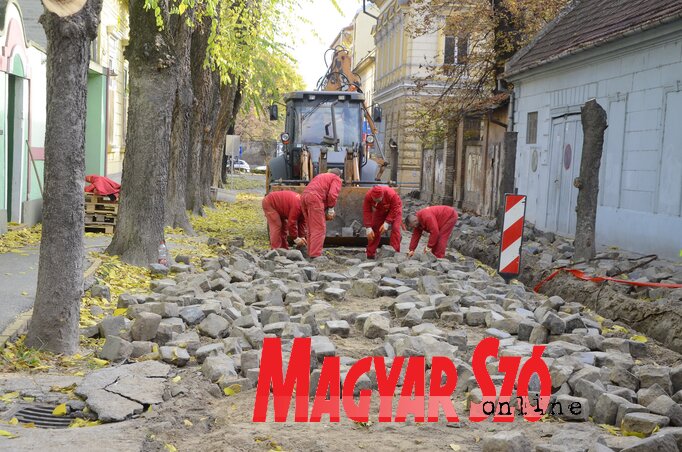 (Fotó: Molnár Edvárd)