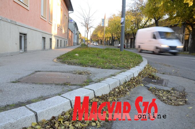 (Fotó: Molnár Edvárd) (Fotó: Molnár Edvárd)