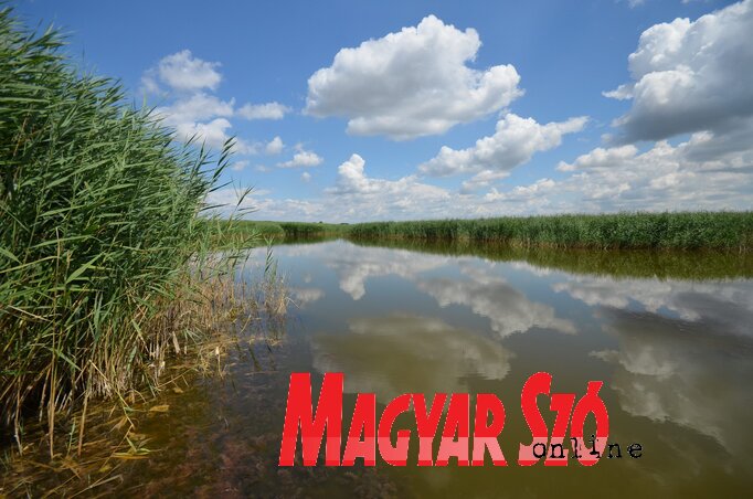 (Fotó: Molnár Edvárd)