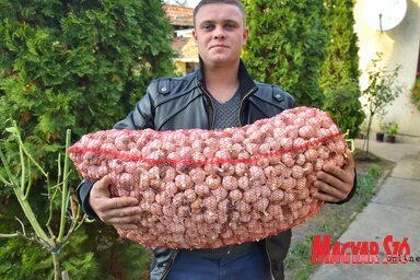Egy zsák (30 kiló) fokhagyma Ákos kezében 80–100 eurót ér (Gergely József és Gergely Árpád felvételei)
