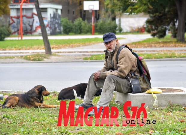 Foto: Gergely József