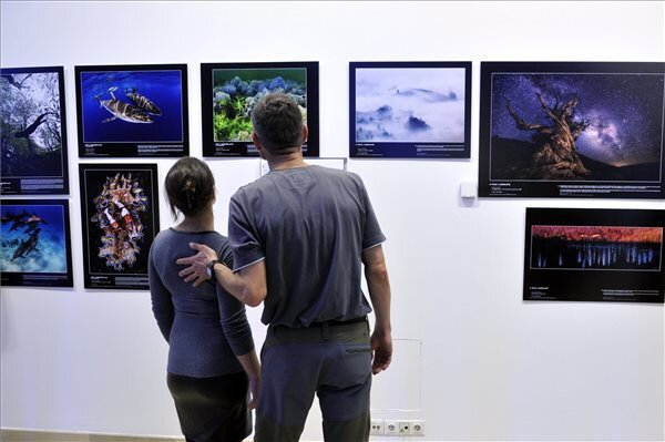 A díjazott alkotásokból kiállítás nyílt