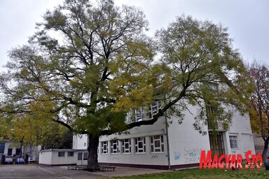 Az iskola épületéhez építenék hozzá a tornatermet (Fotó: Gergely Árpád)