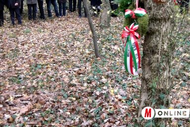 Fotó: Benedek Miklós felvétele