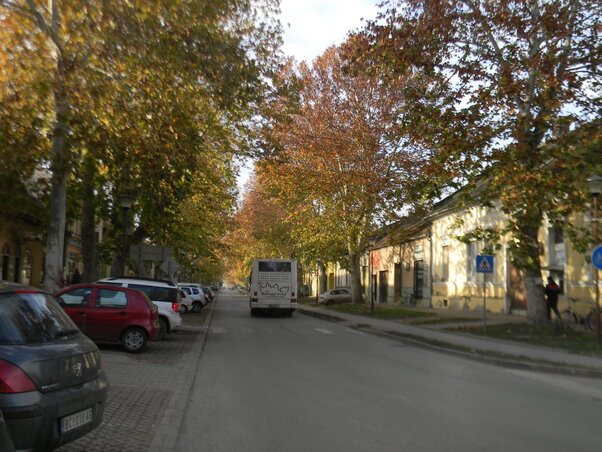 Fotó: Fehér Rózsa Fotó: Fehér Rózsa