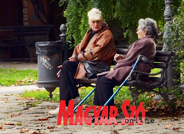 (Fotó: Dávid Csilla)