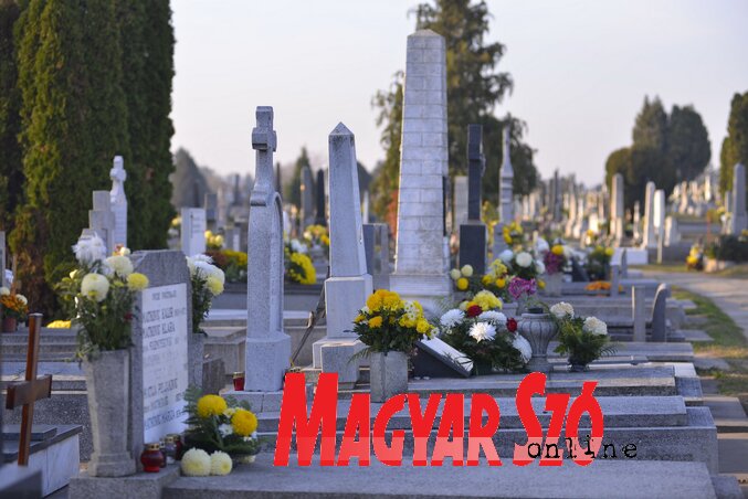 (Fotó: Molnár Edvárd) (Fotó: Molnár Edvárd)