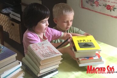 Fotó: Halász Gyula