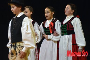 Petőfi-napok Újvidéken