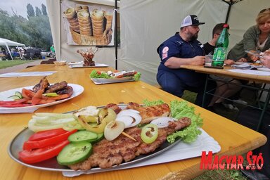 Grill-, BBQ- és Rostélyfesztivál a topolyai tóparton (Herceg Elizabetta felvétele)