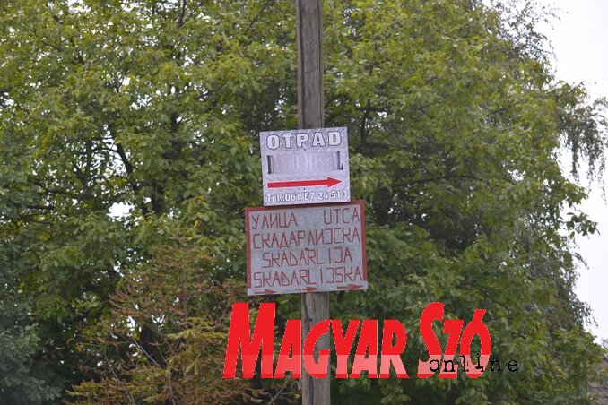 (Fotó: Molnár Edvárd) (Fotó: Molnár Edvárd)