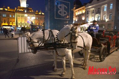 Karácsonyi hangulatot öltött Újvidék