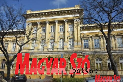 Fotó: Molnár Edvárd Fotó: Molnár Edvárd