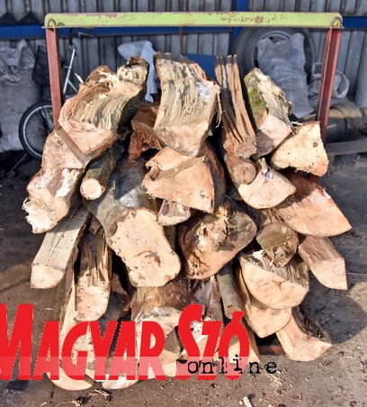 Izmereno ogrevno drvo, sada samo treba iseći (Foto: Arpad Gergely)