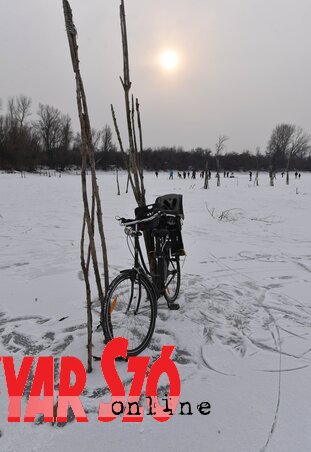 A karók mellett nem biztonságos a jég (Ótos András felvétele) A karók mellett nem biztonságos a jég (Ótos András felvétele)