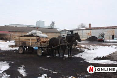 Odnošenje orevnog materijala u Staroj Moravici