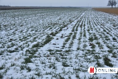 Foto: Gergelj Jožef