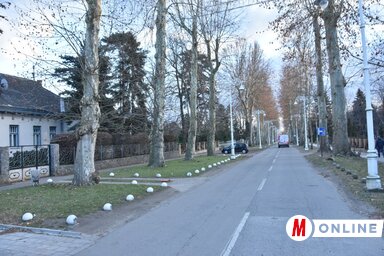 (Fotó: Gergely Árpád)