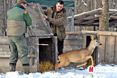 (Fotó: Gergely Árpád)