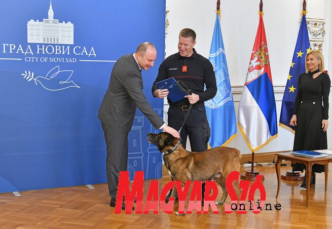 Ziggy is segített a törökországi mentésben (Fotó: Ótos András felvétele) Ziggy is segített a törökországi mentésben (Fotó: Ótos András felvétele)