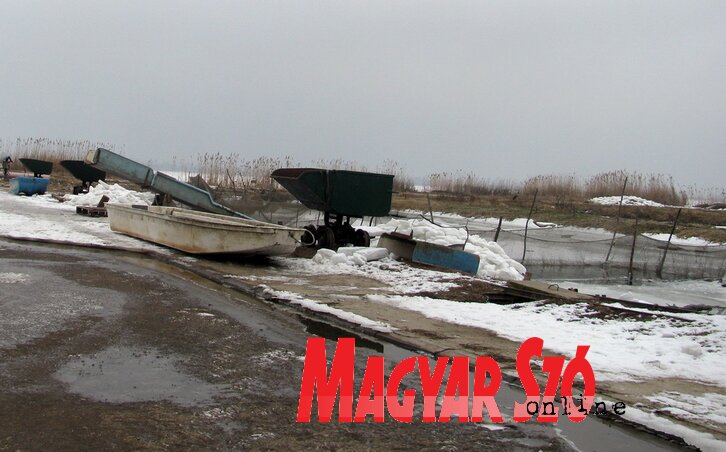 Više od jednog veka tradicije u ribarstvu (Foto: Kečkeš Ištvan)